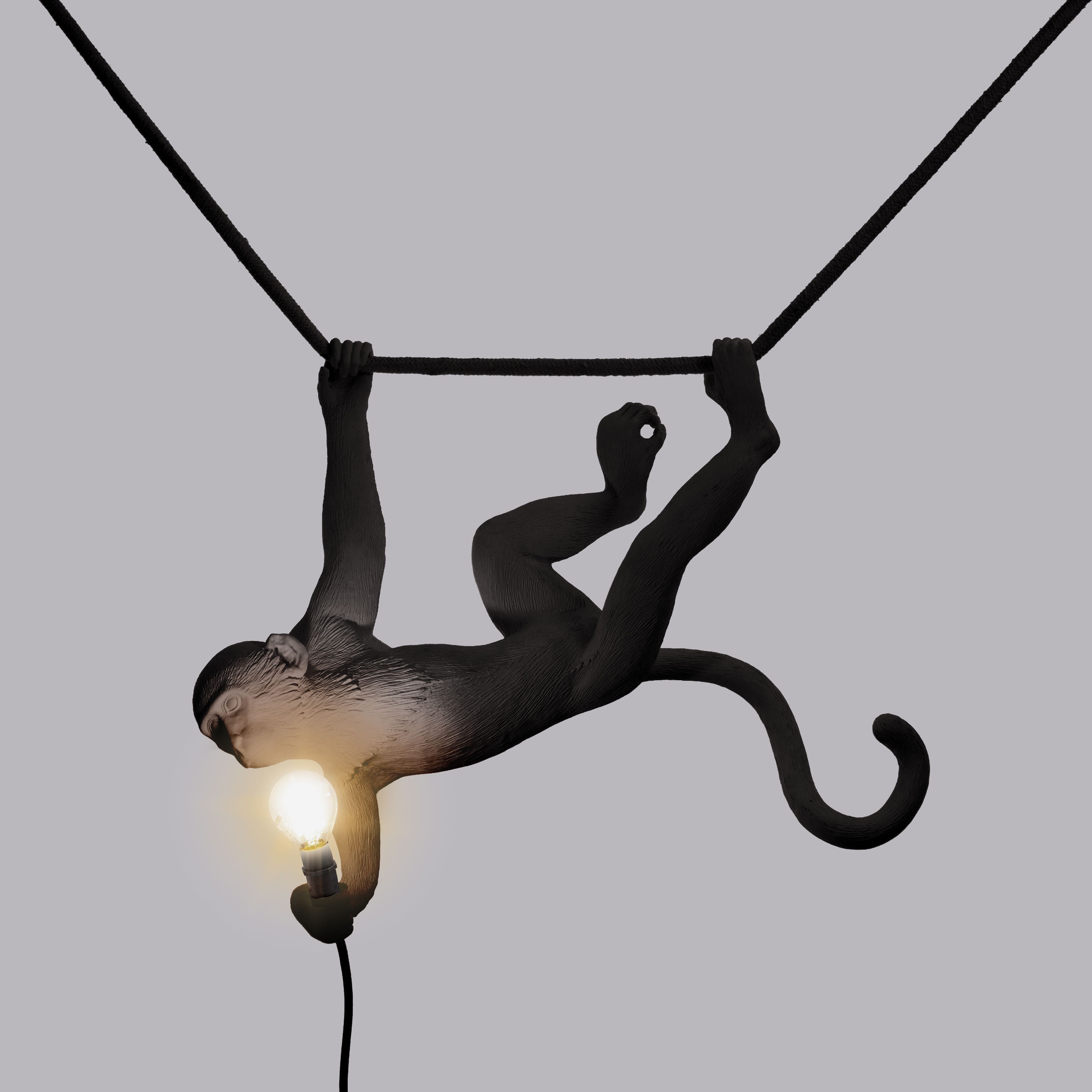 Seletti Monkey Outdoor Lamp Black, Swing