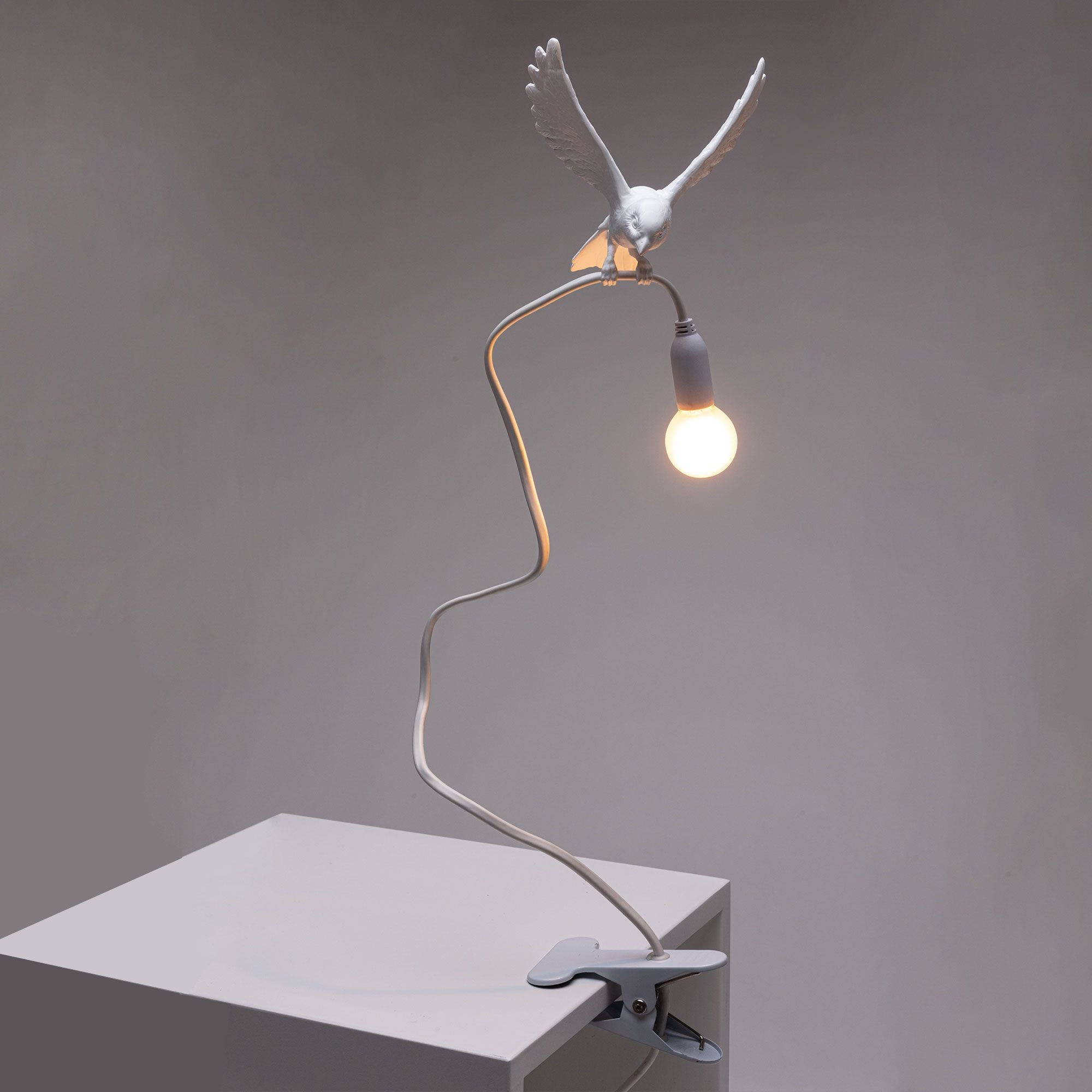 Seletti Sparrow Lamp With Clamp, Landing