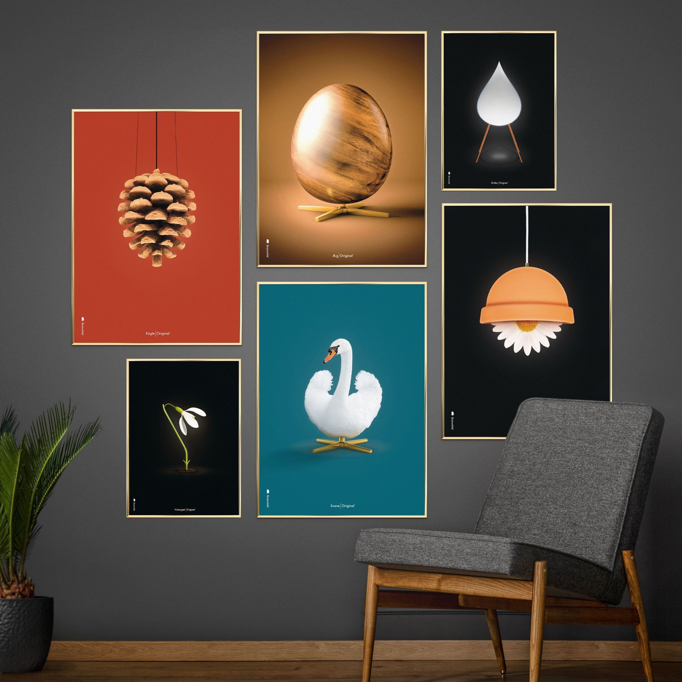 Brainchild Swan Classic Poster, Dark Wood Frame A5, Petroleum Blue Background