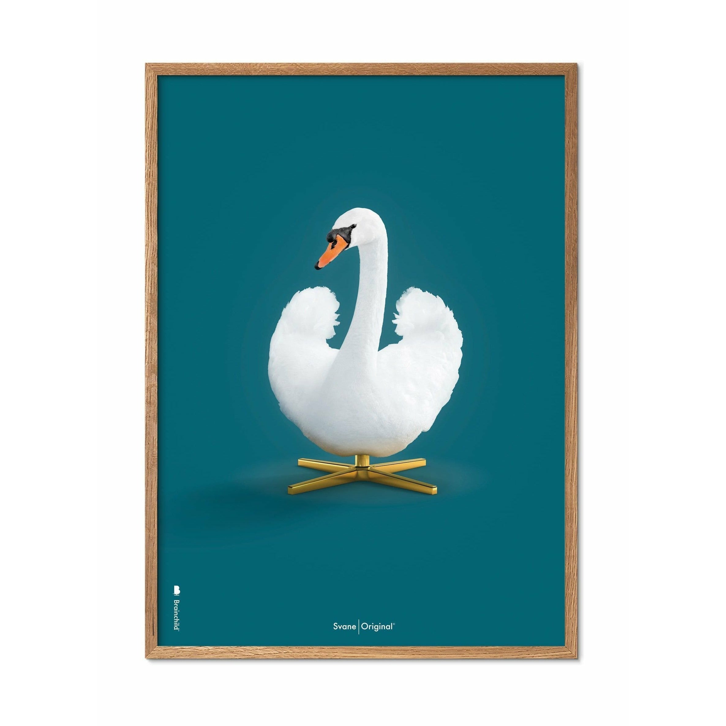 Brainchild Swan Classic Poster, Light Wood Frame 50 X70 Cm, Petroleum Blue Background