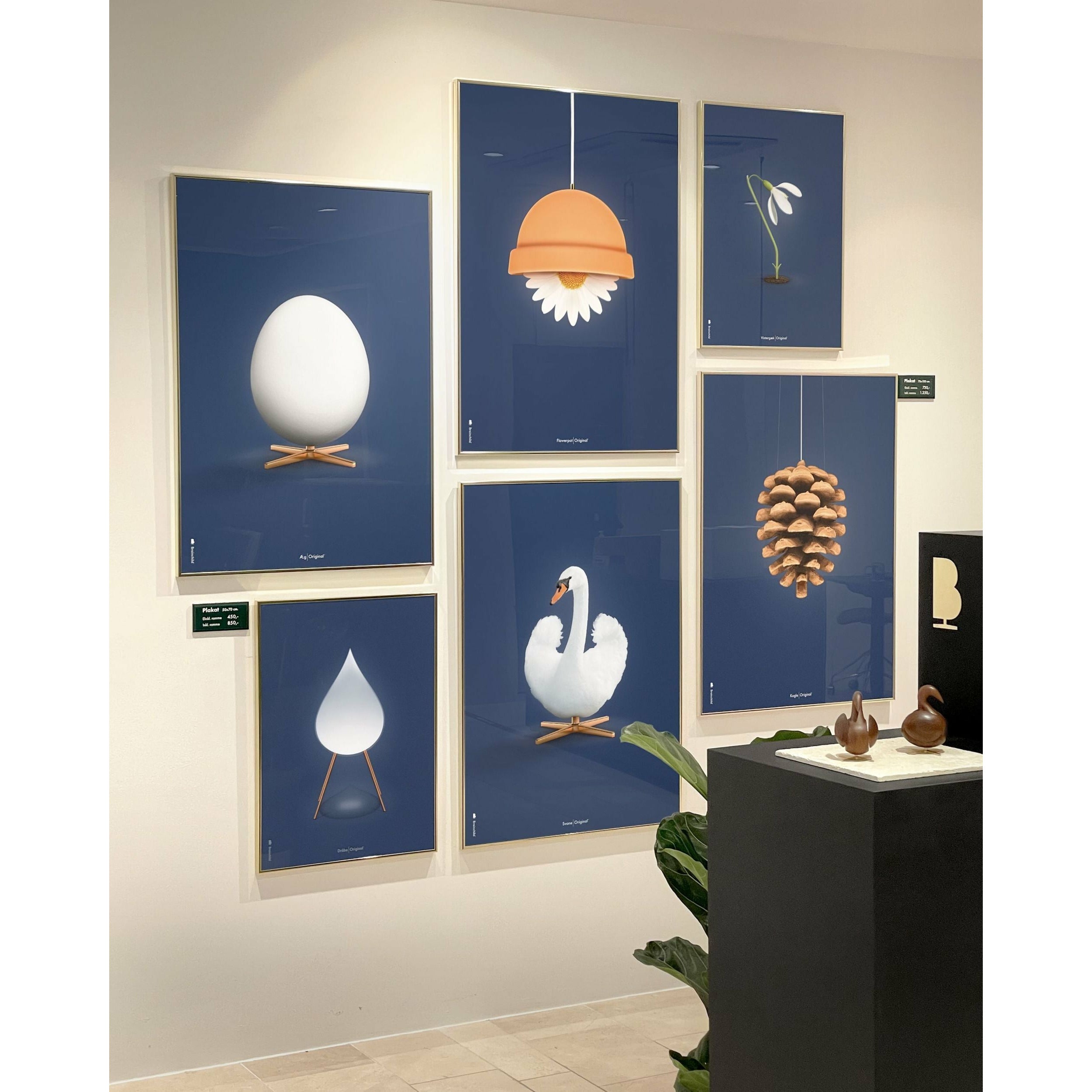 Brainchild Swan Classic Poster, Frame Made Of Light Wood 70 X100 Cm, Dark Blue Background