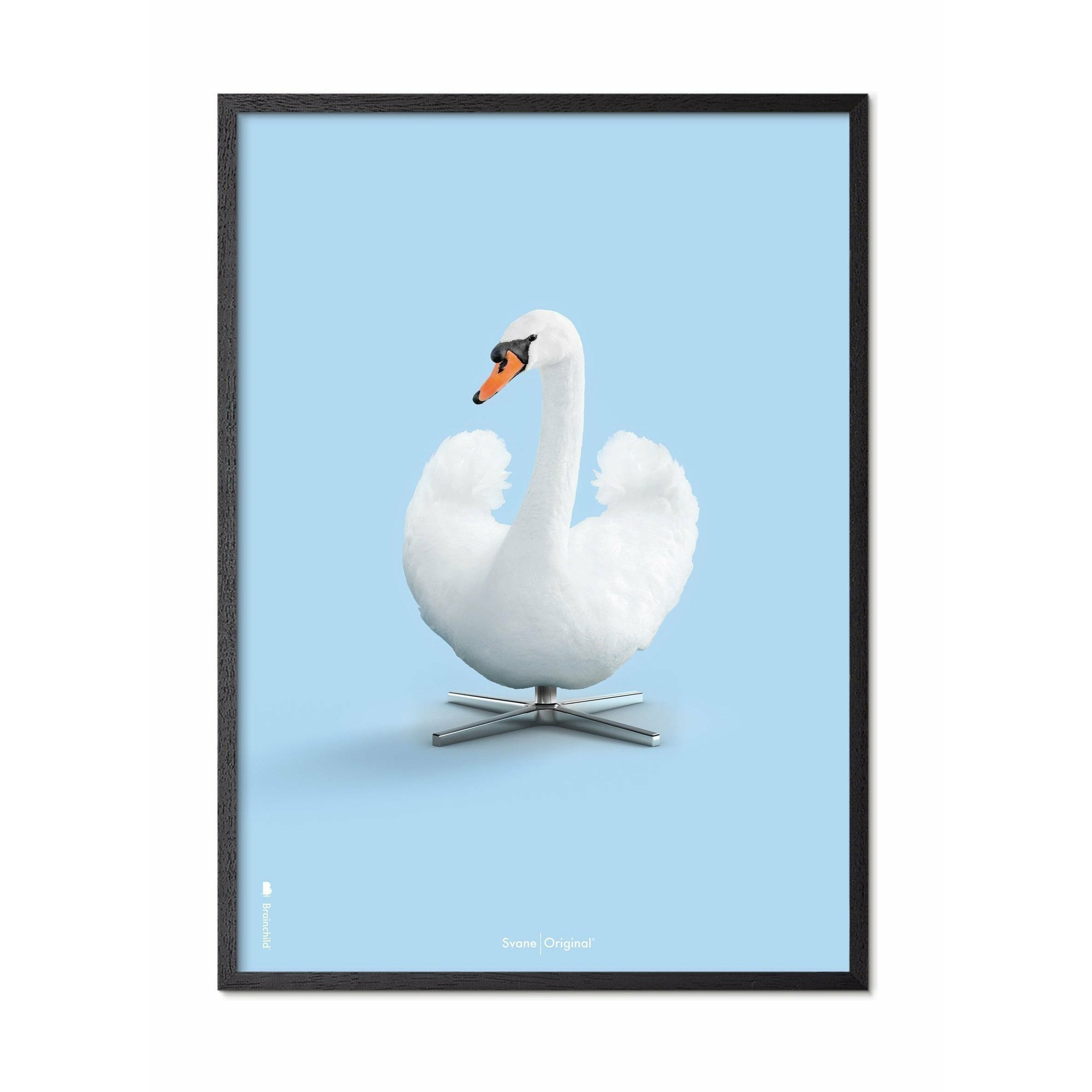 Brainchild Swan Classic Poster, Frame In Black Lacquered Wood 70 X100 Cm, Light Blue Background