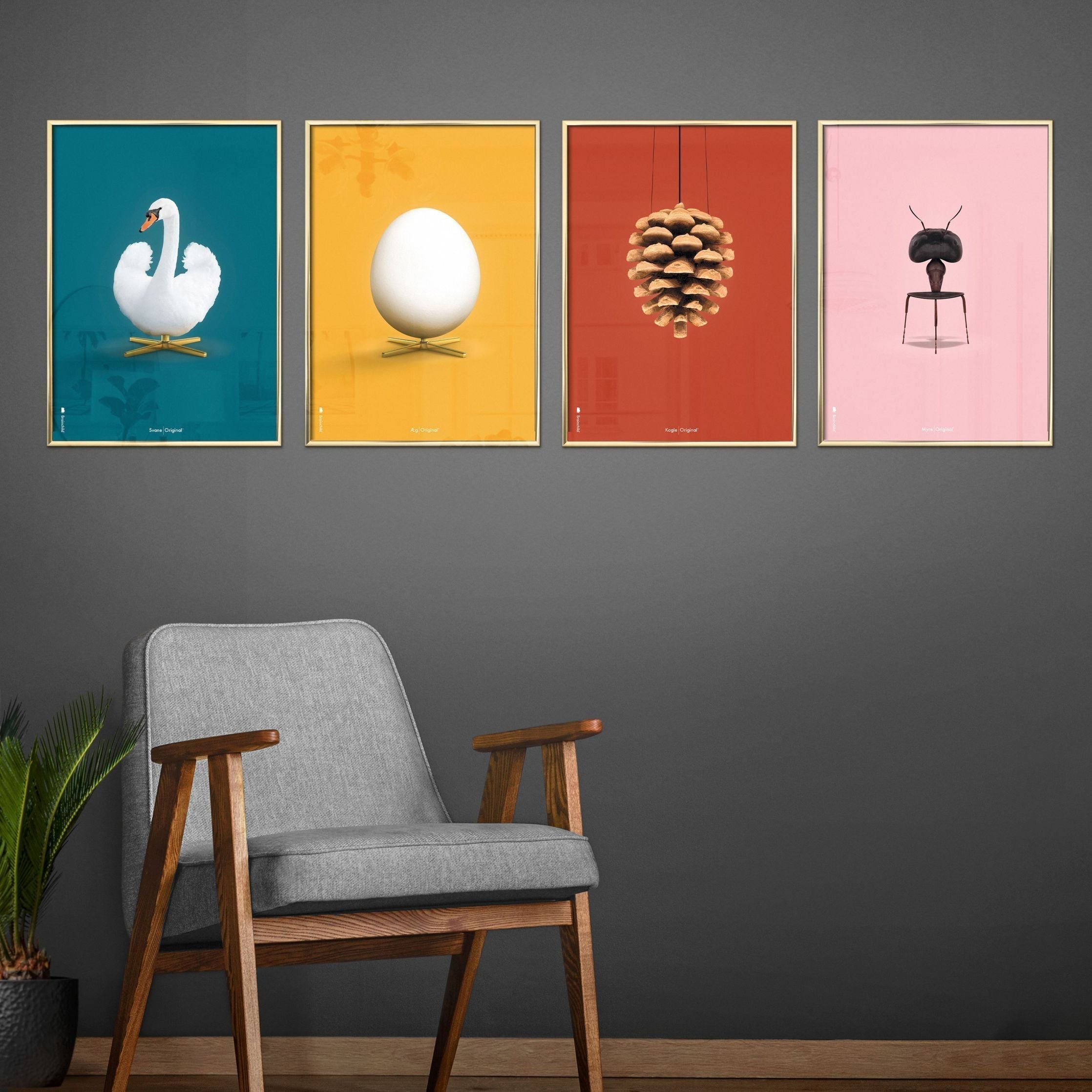 Brainchild Pine Cone Classic Poster, Brass Colored Frame 30x40 Cm, Red Background