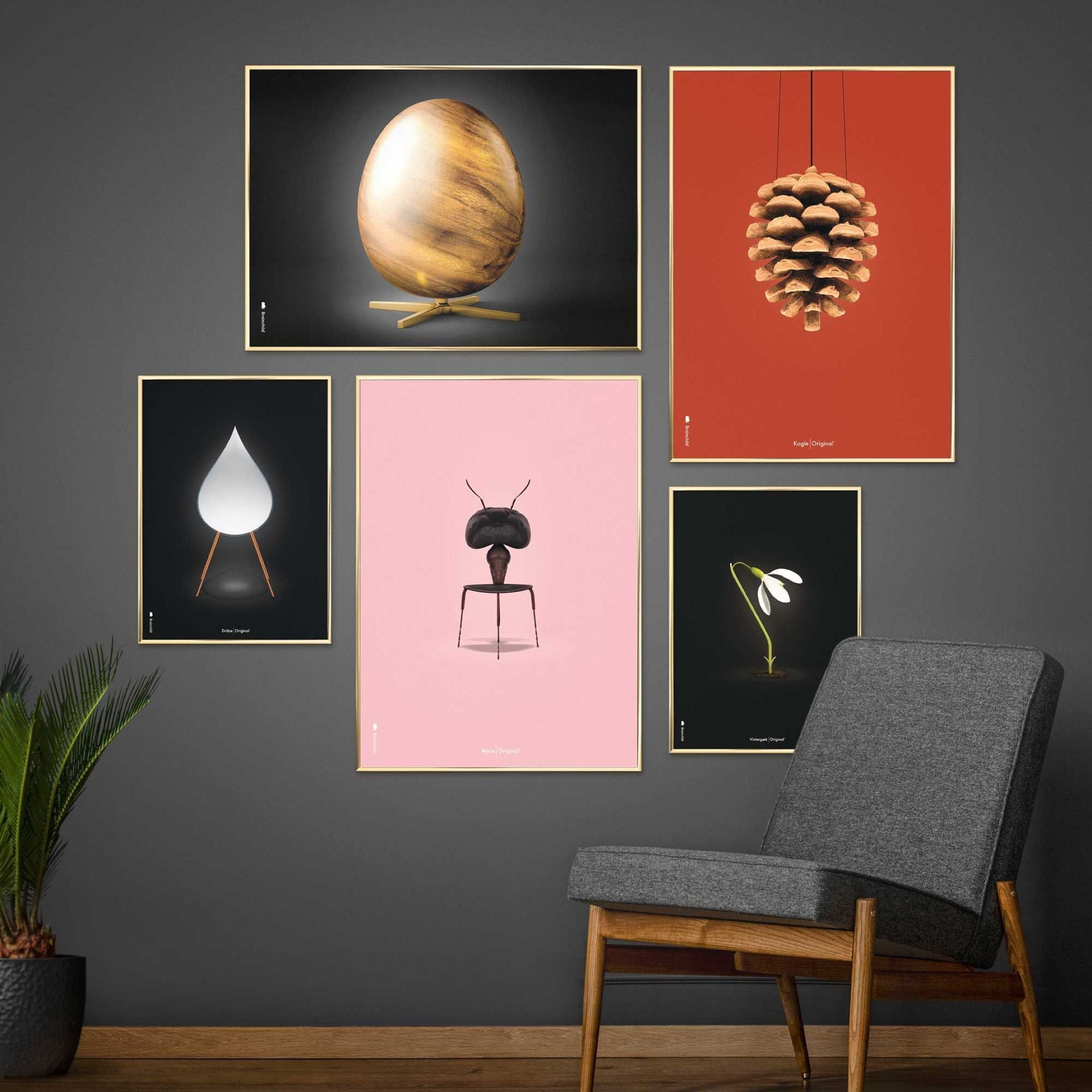 Brainchild Pine Cone Classic Poster, Brass Colored Frame 30x40 Cm, Red Background