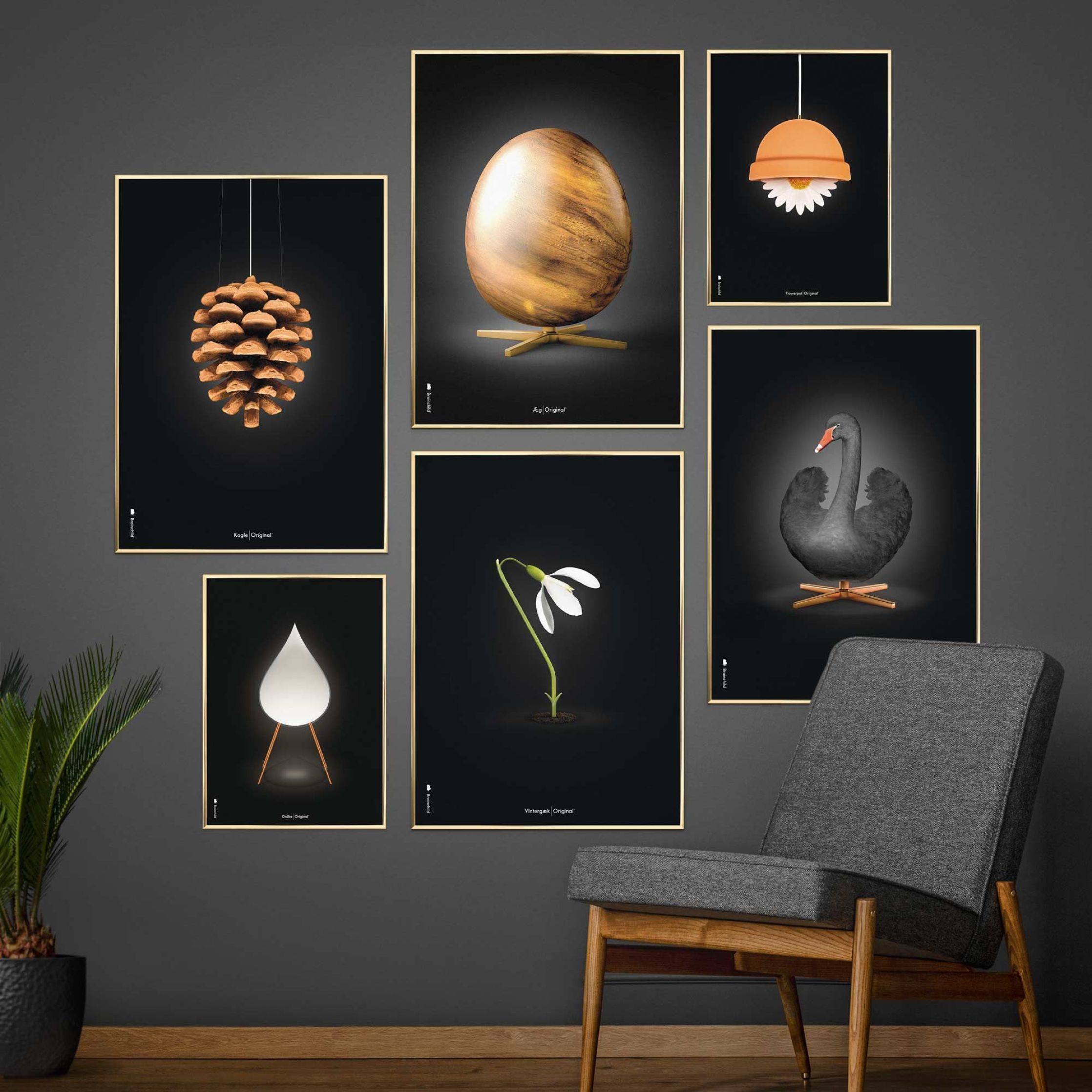 Brainchild Pine Cone Classic Poster, Frame Made Of Light Wood A5, Black Background