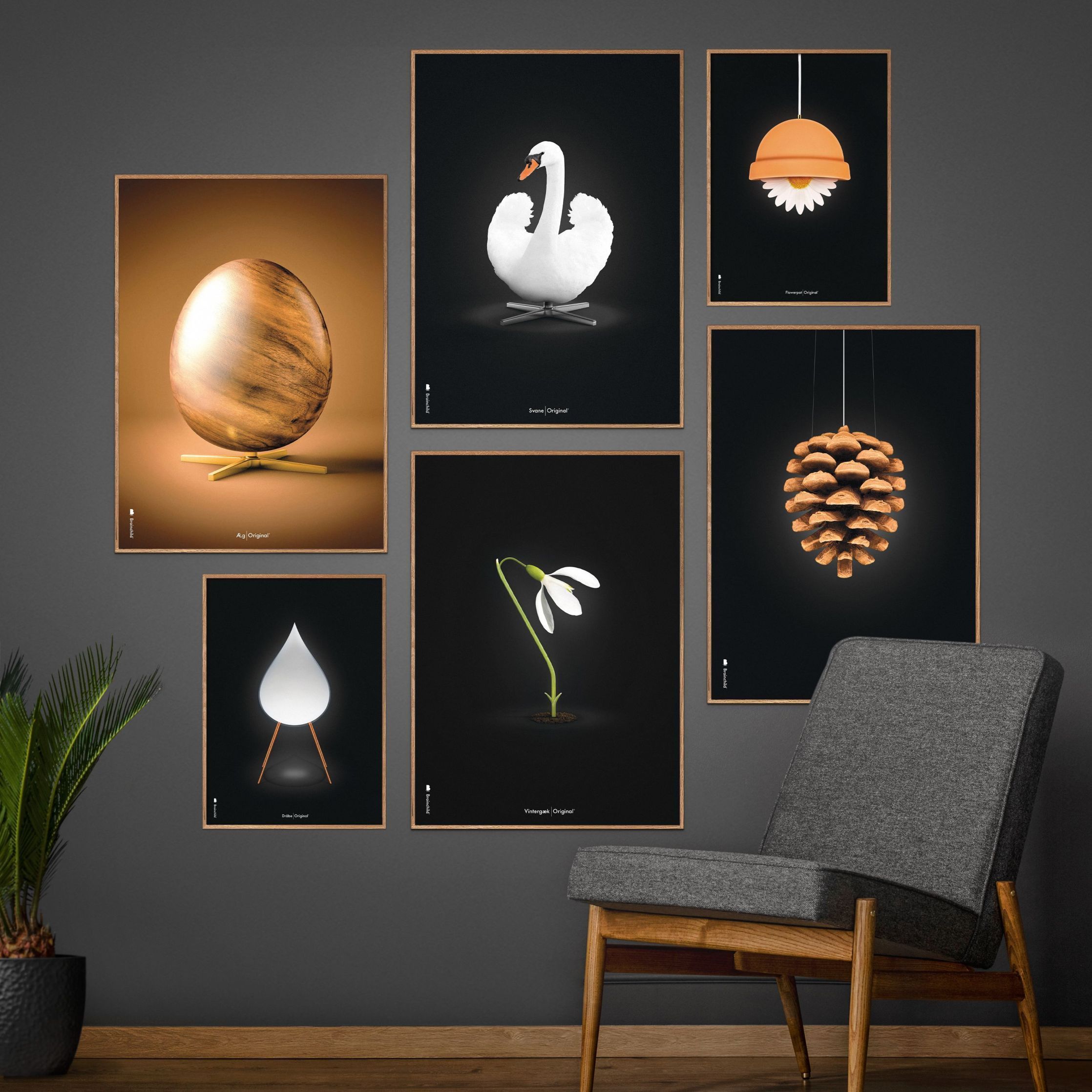 Brainchild Pine Cone Classic Poster, Frame Made Of Light Wood A5, Black Background