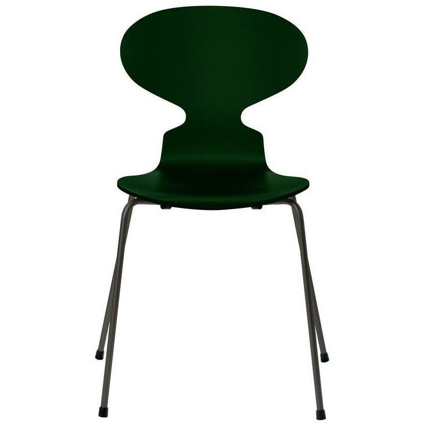 Fritz Hansen Ant Chair Lacquered Evergreen Shell, Warm Graphite Base