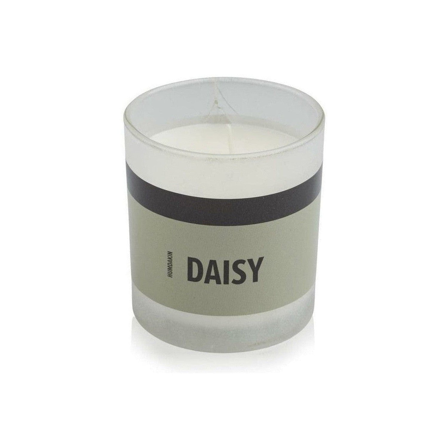 Humdakin pachnący świeca, Daisy