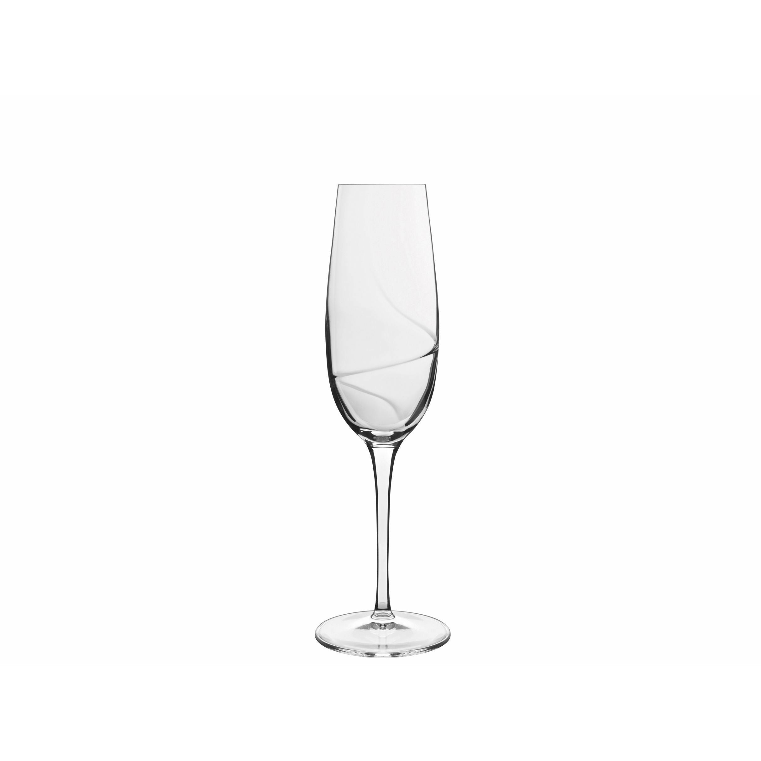 Luigi Bormioli Aero Champagne Glass, Set Of 6