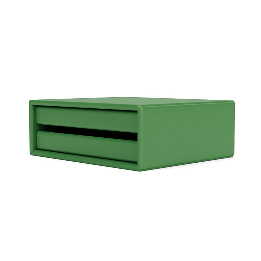 Montana Classify Tray Module, Parsley Green