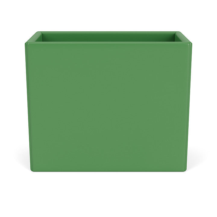 Montana Collection Organizer, Parsley Green