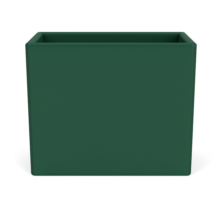 Montana Collection Organizer, Pine Green