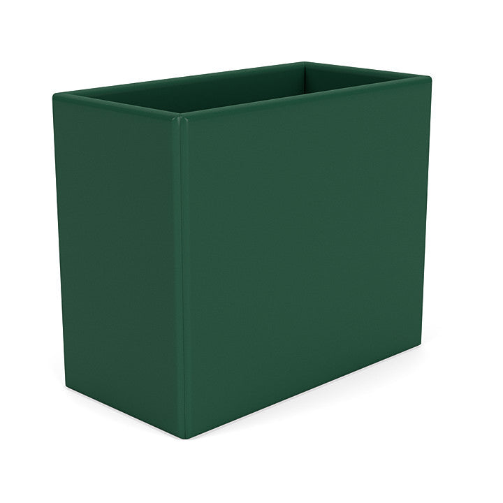 Montana Collection Organizer, Pine Green