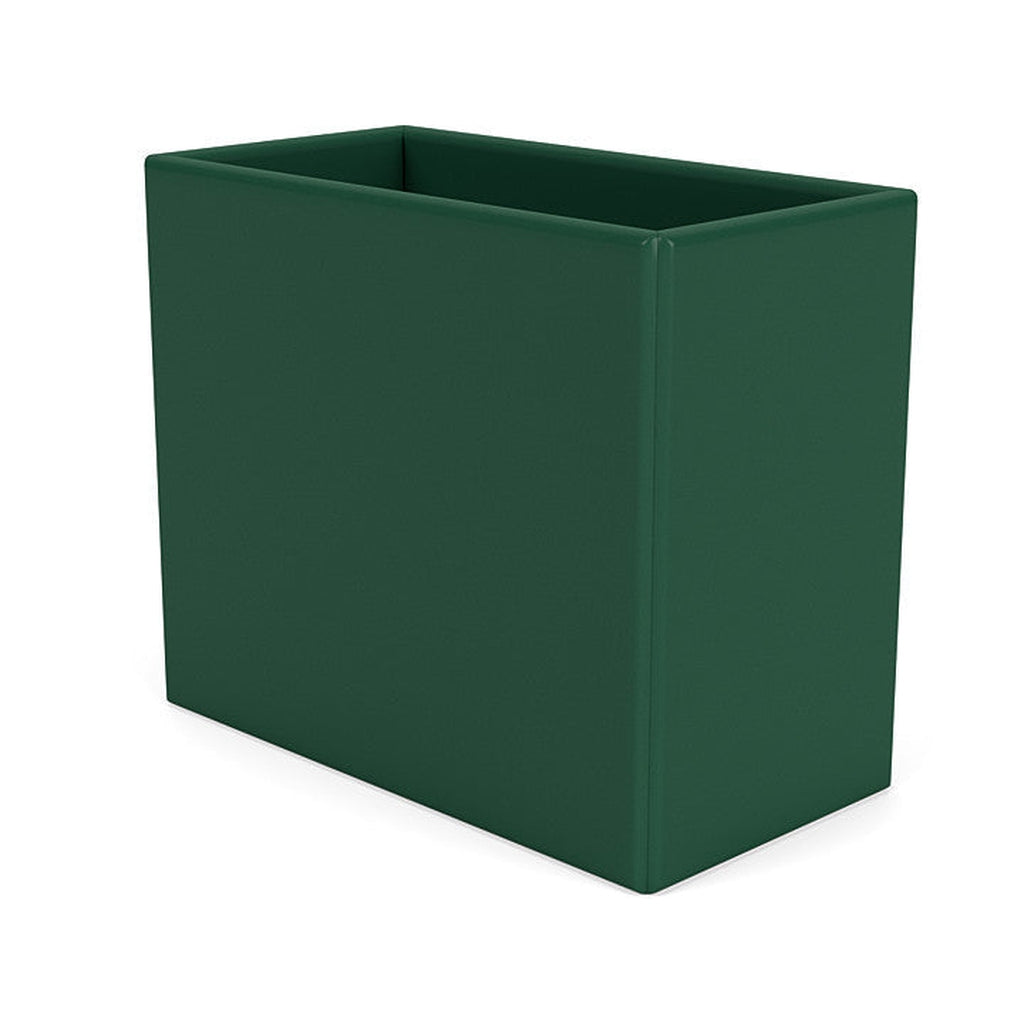 Montana Collection Organizer, Pine Green