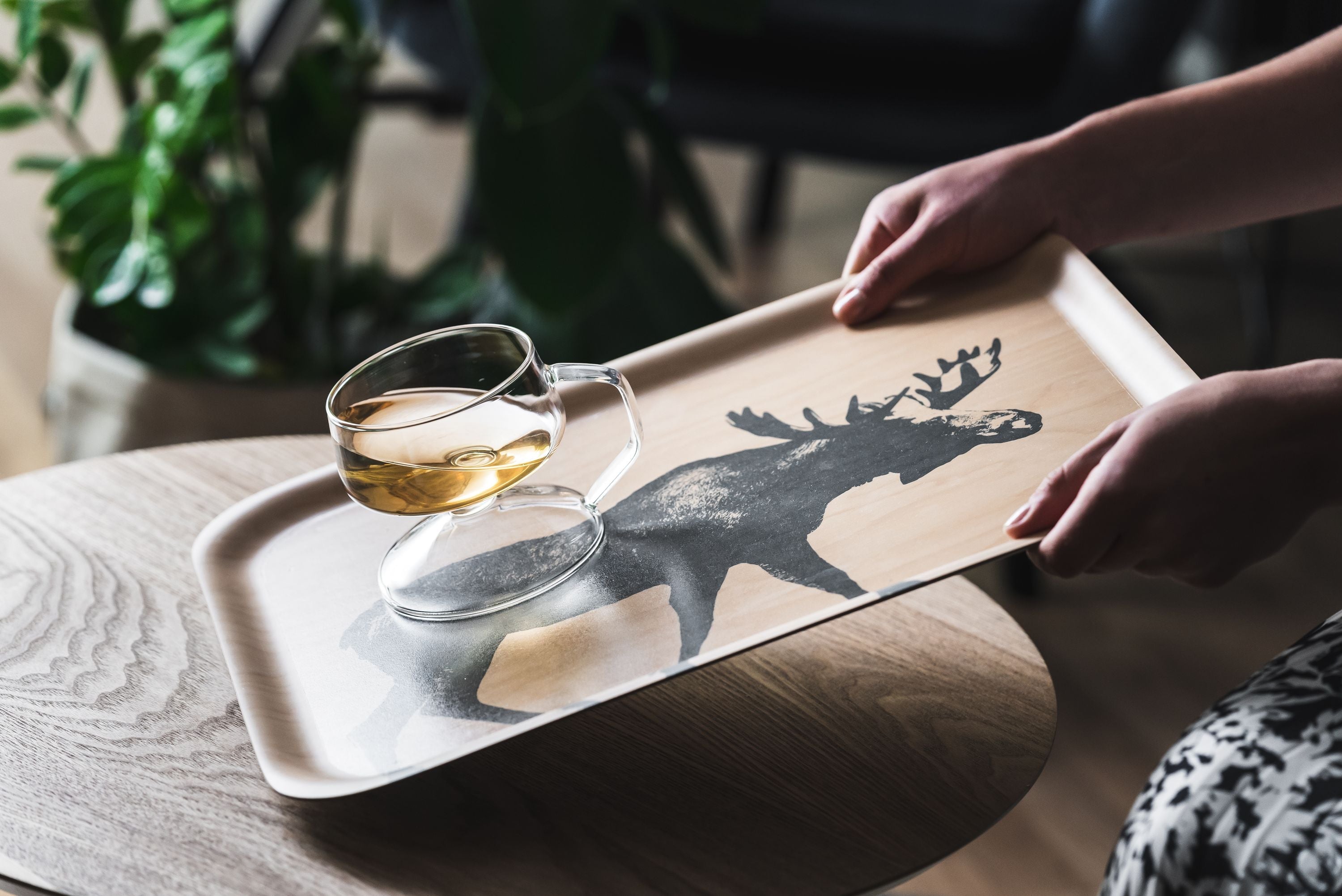 Muurla Tray, The Moose Family