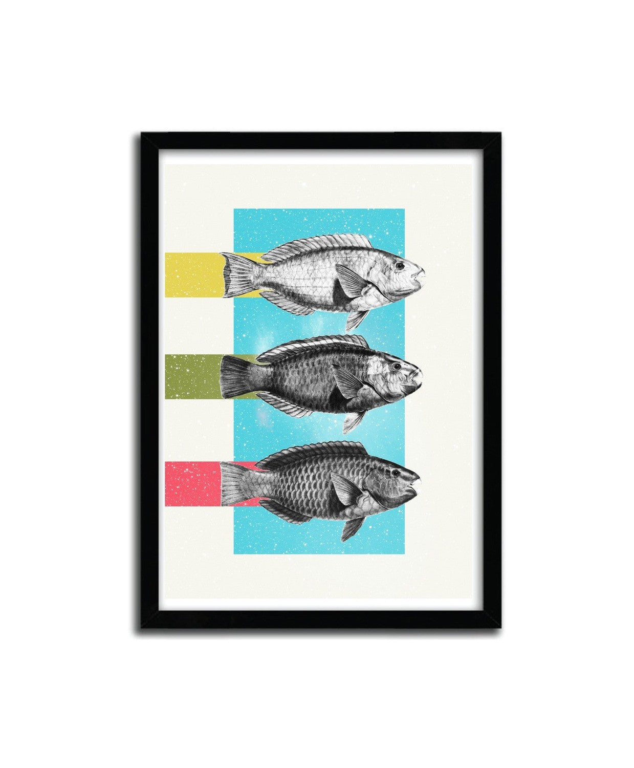 Affiche Fishes Danny Ivan