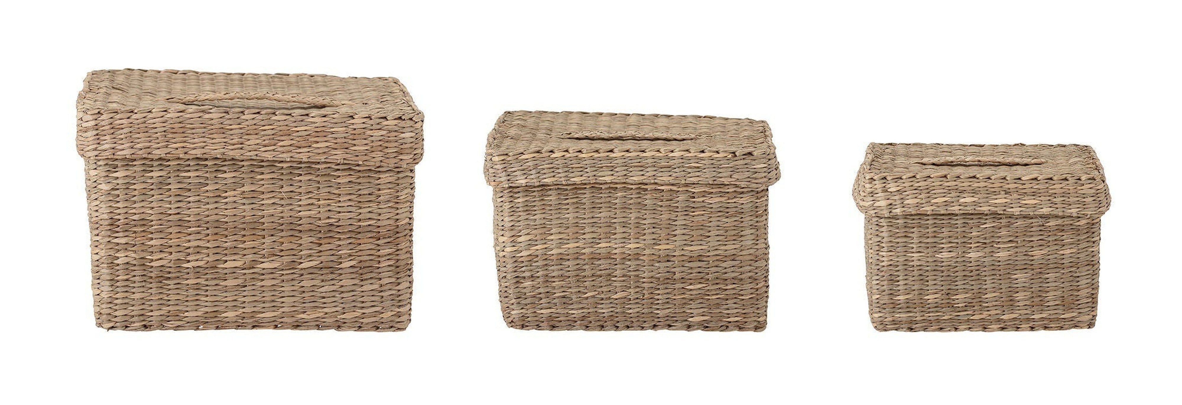 Bloomingville Givan Basket z pokrywką, przyrodą, trawę morską