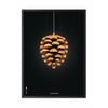  Pine Cone Classic Poster Frame In Black Lacquered Wood 50x70 Cm Black Background