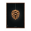  Pine Cone Classic Poster Frame Made Of Dark Wood 30x40 Cm Black Background