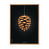  Pine Cone Classic Poster Frame Made Of Light Wood A5 Black Background