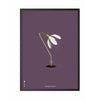  Snowdrop Classic Poster Frame In Black Lacquered Wood 50x70 Cm Purple Background