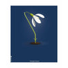  Snowdrop Classic Poster Without Frame 70 X100 Cm Dark Blue Background