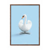  Swan Classic Poster Dark Wood Frame 30x40 Cm Light Blue Background