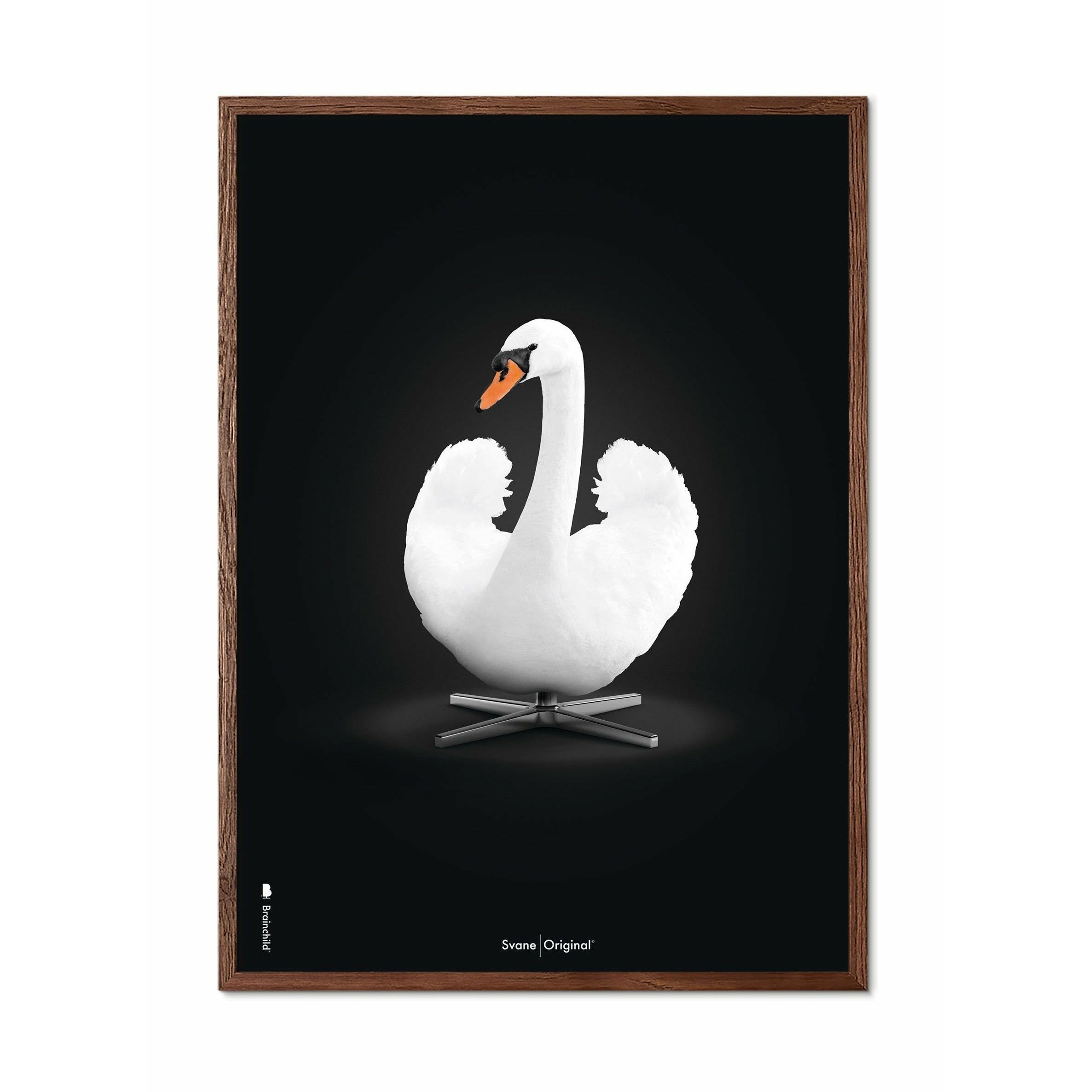 [product_category]-Brainchild Swan Classic Poster, Dark Wood Frame 70x100 Cm, White/White Background-Brainchild-32004-B-BRA-1