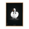  Swan Classic Poster Frame Made Of Light Wood 50x70 Cm White/White Background