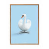  Swan Classic Poster Frame Made Of Light Wood 70x100 Cm Light Blue Background