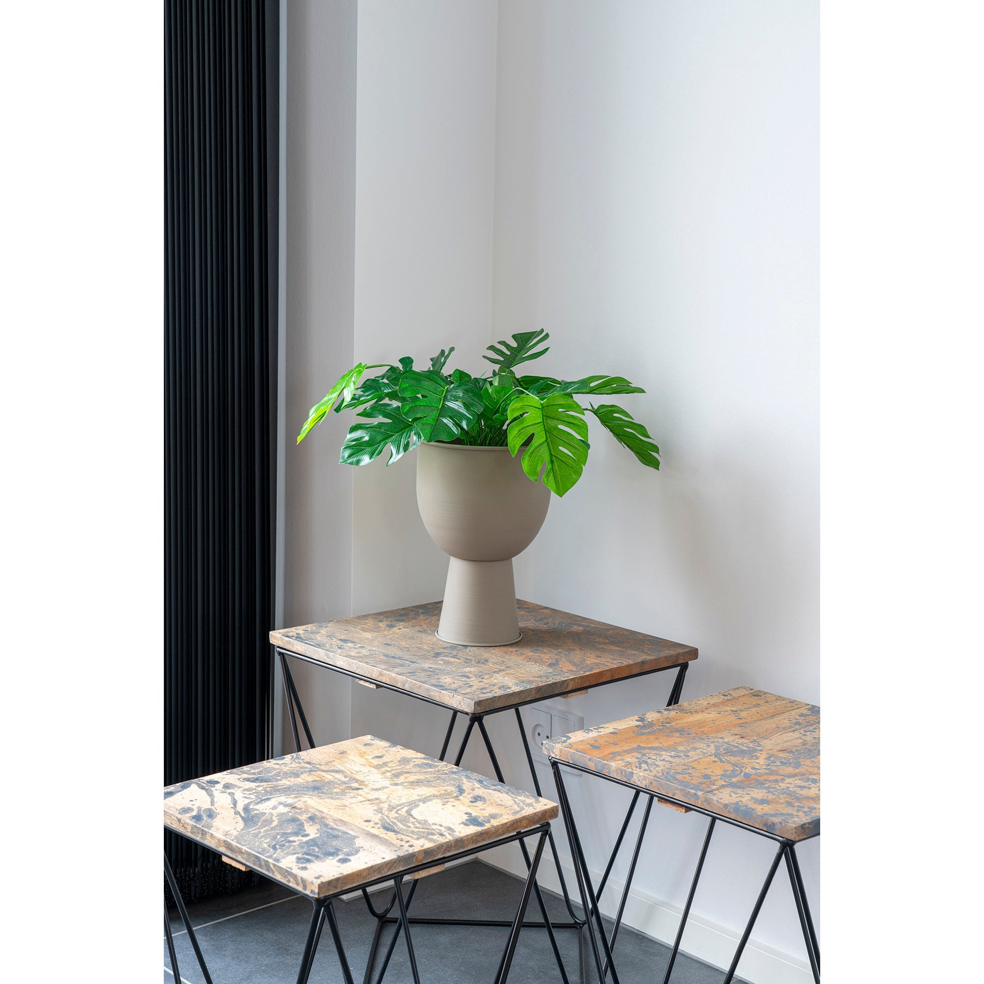 Dom Nordic Monstera