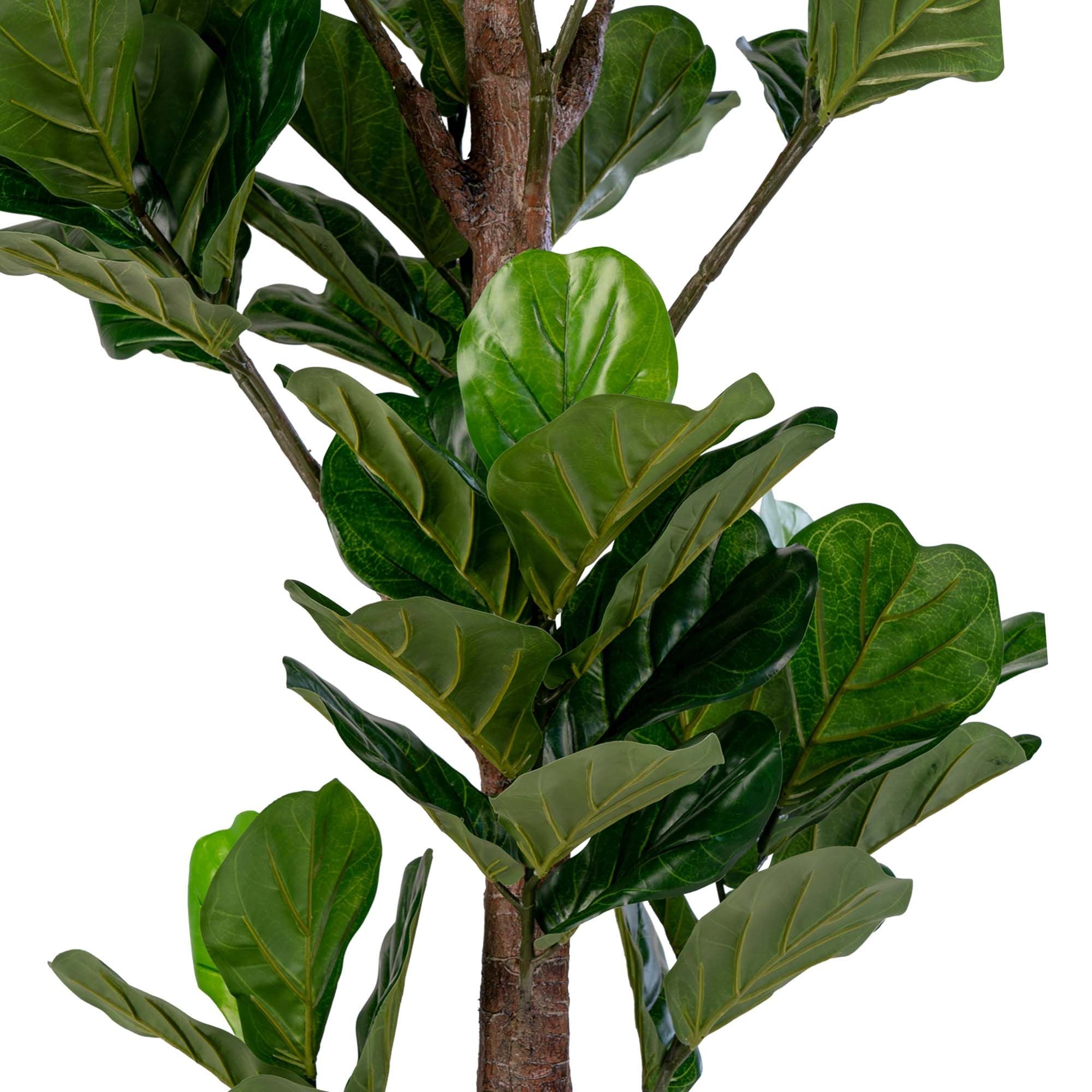 House Nordic Fiddle Leaf Tree