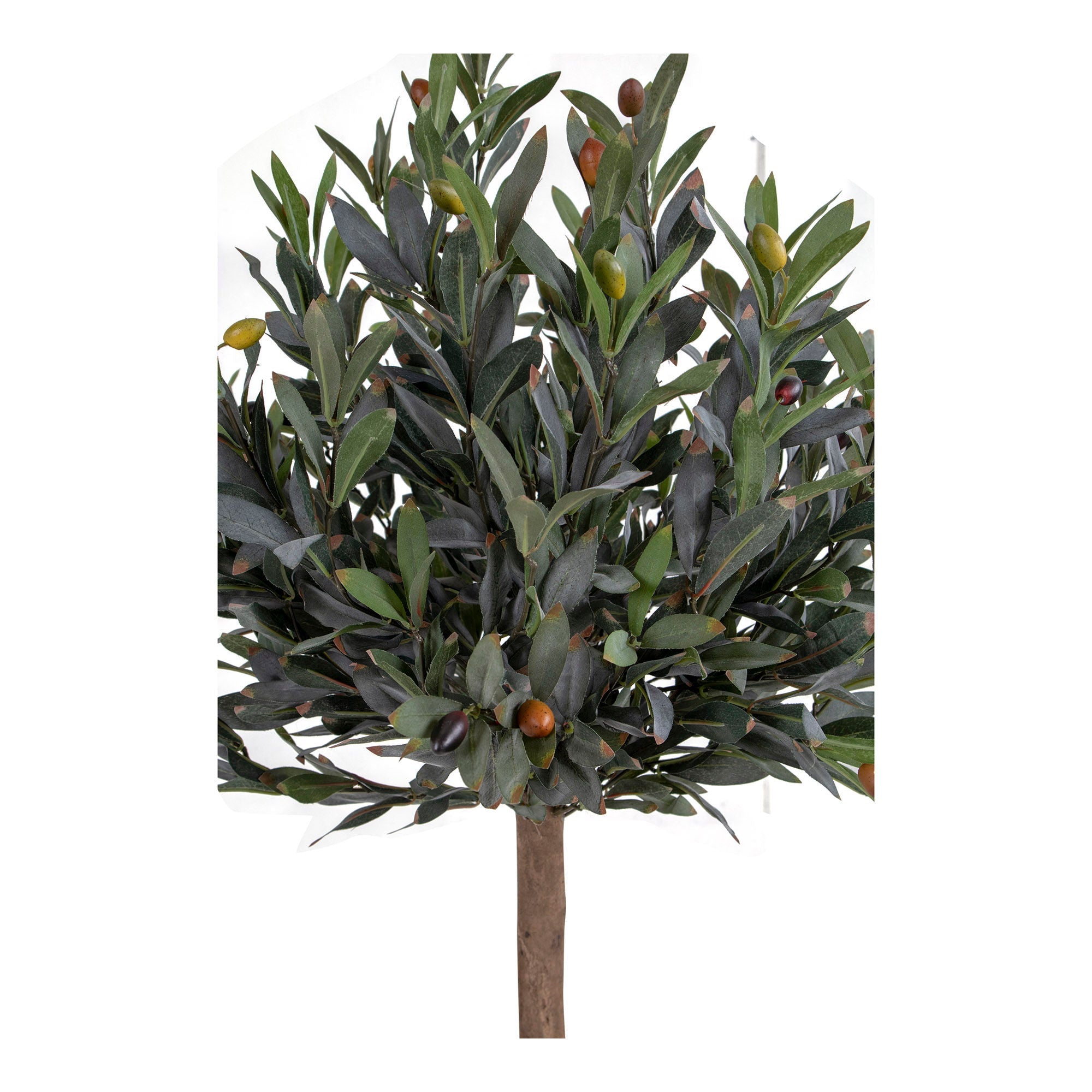 Dom Nordic Olive Tree