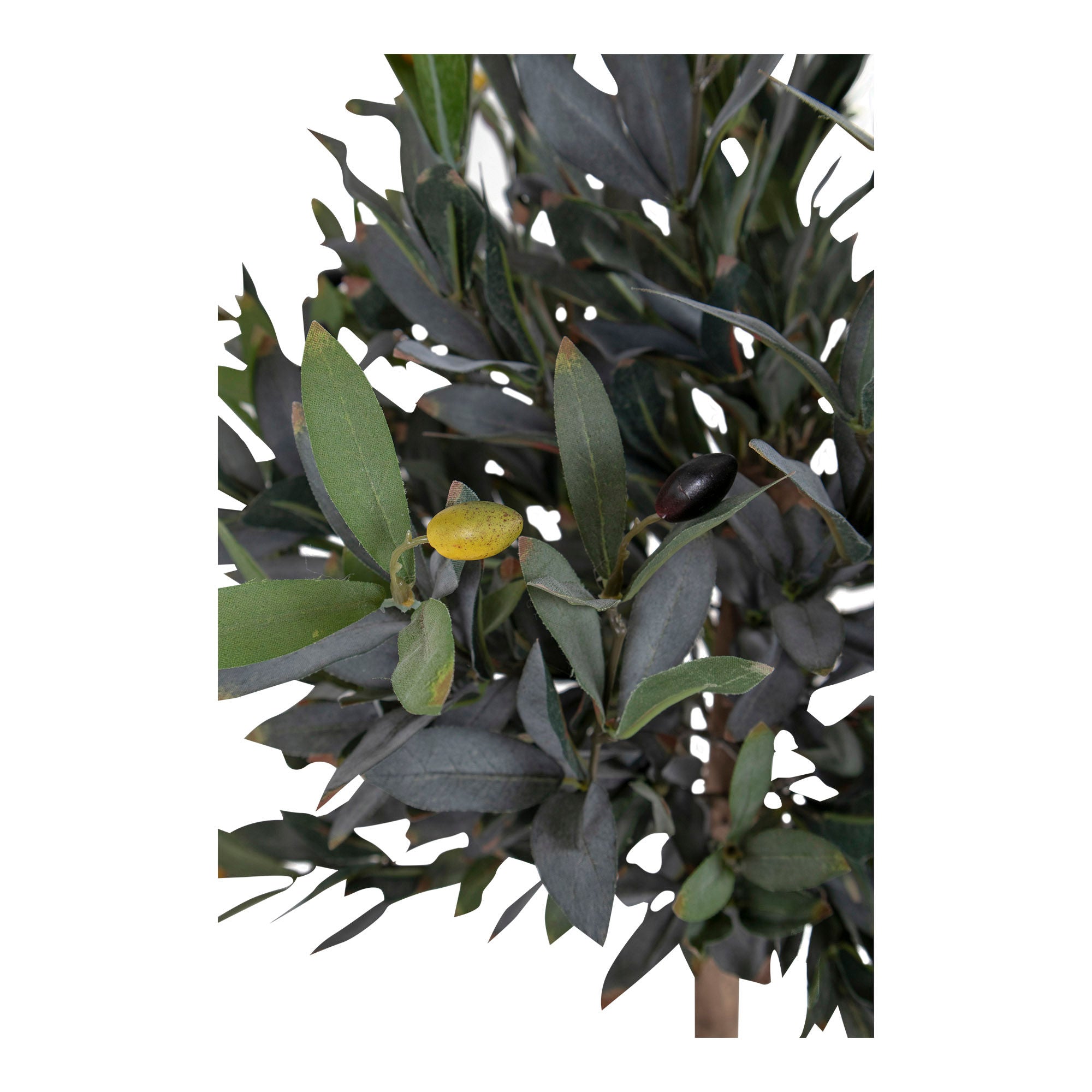 Dom Nordic Olive Tree