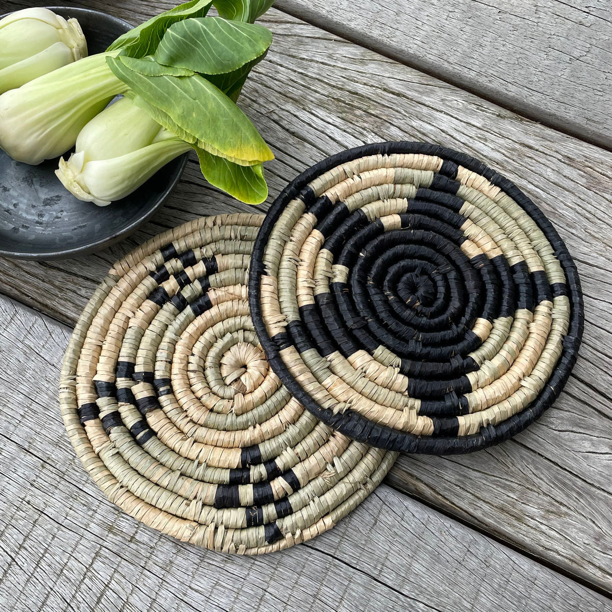 Doctor Trivet, Hdthea, Nature/Black