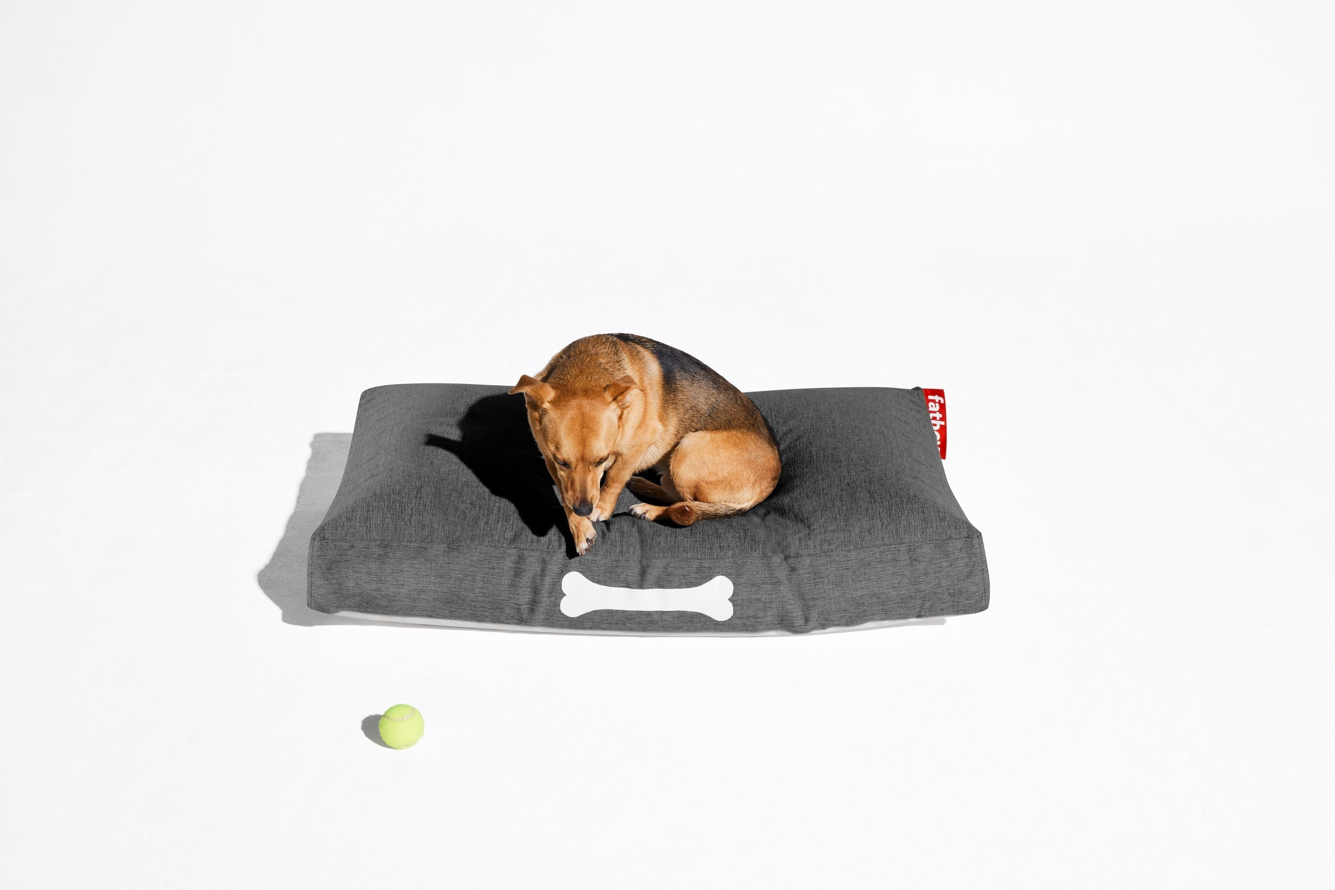 [product_category]-Fatboy Doggielounge Olefin Dogbed Large, Thunder Grey-Fatboy-8719773058478-106197-FAT-4