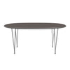 Fritz Hansen SuperErellipse Chrome/Grey Fenix ​​Laminatów, 270x100 cm