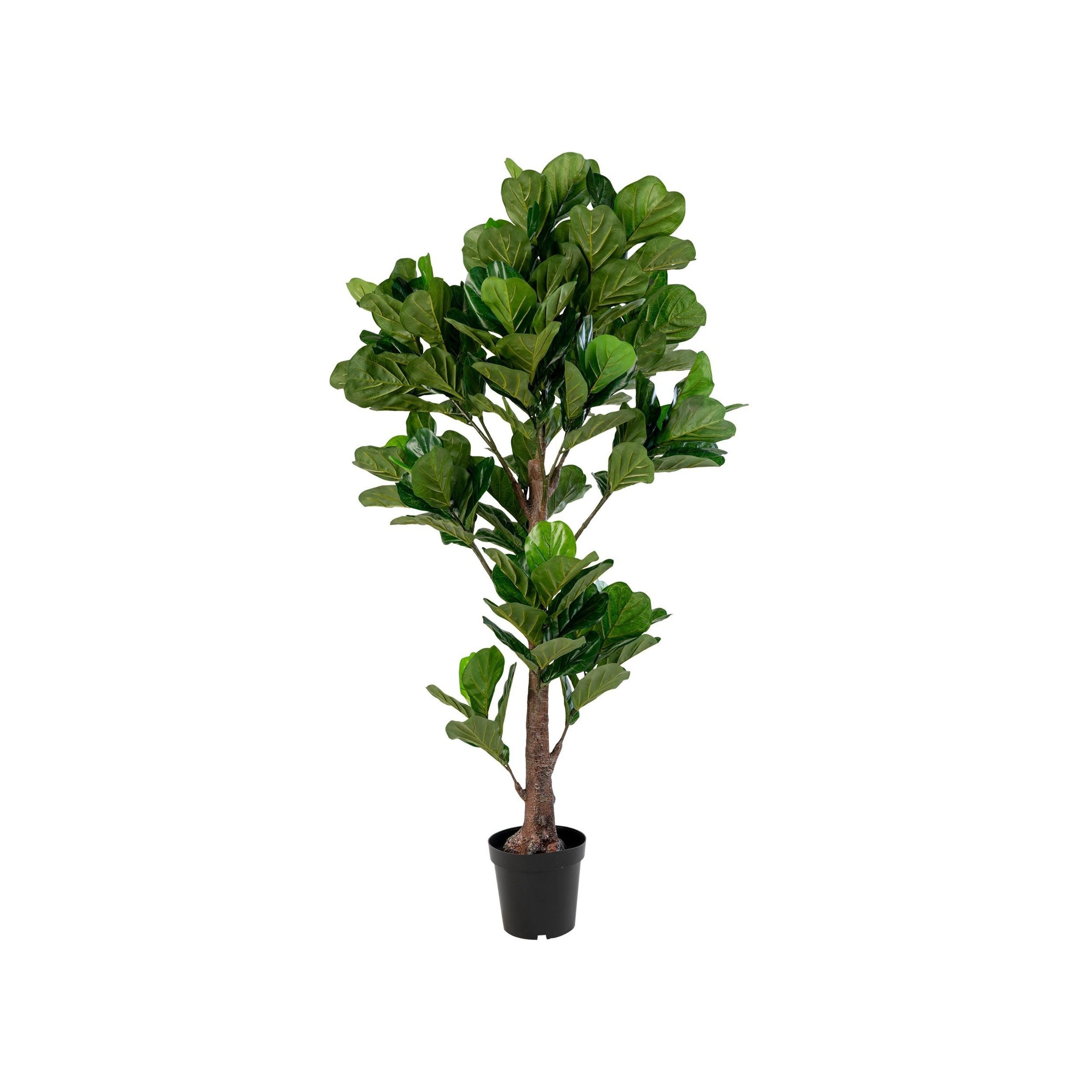 House Nordic Fiddle Leaf Tree