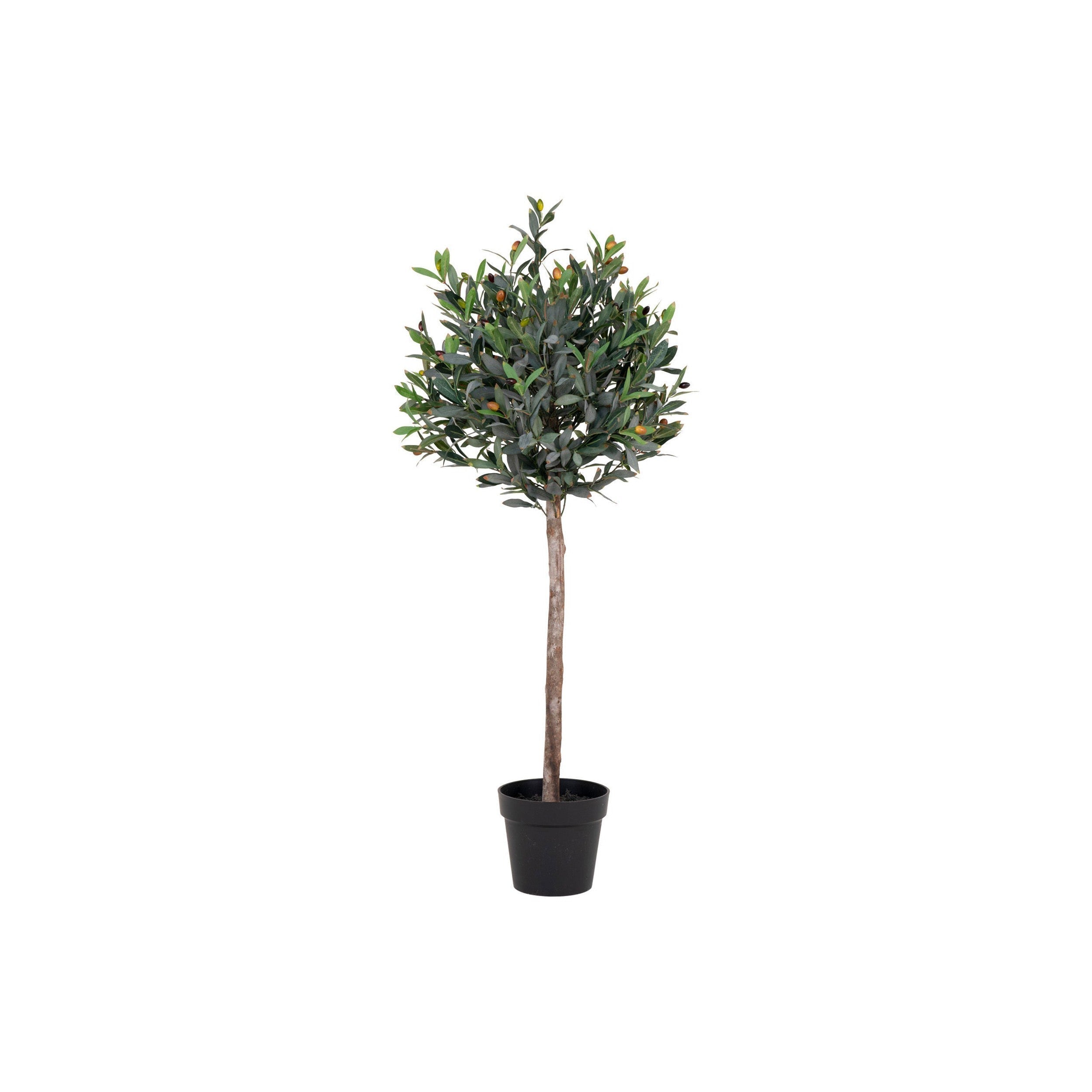 House Nordic Olive Tree