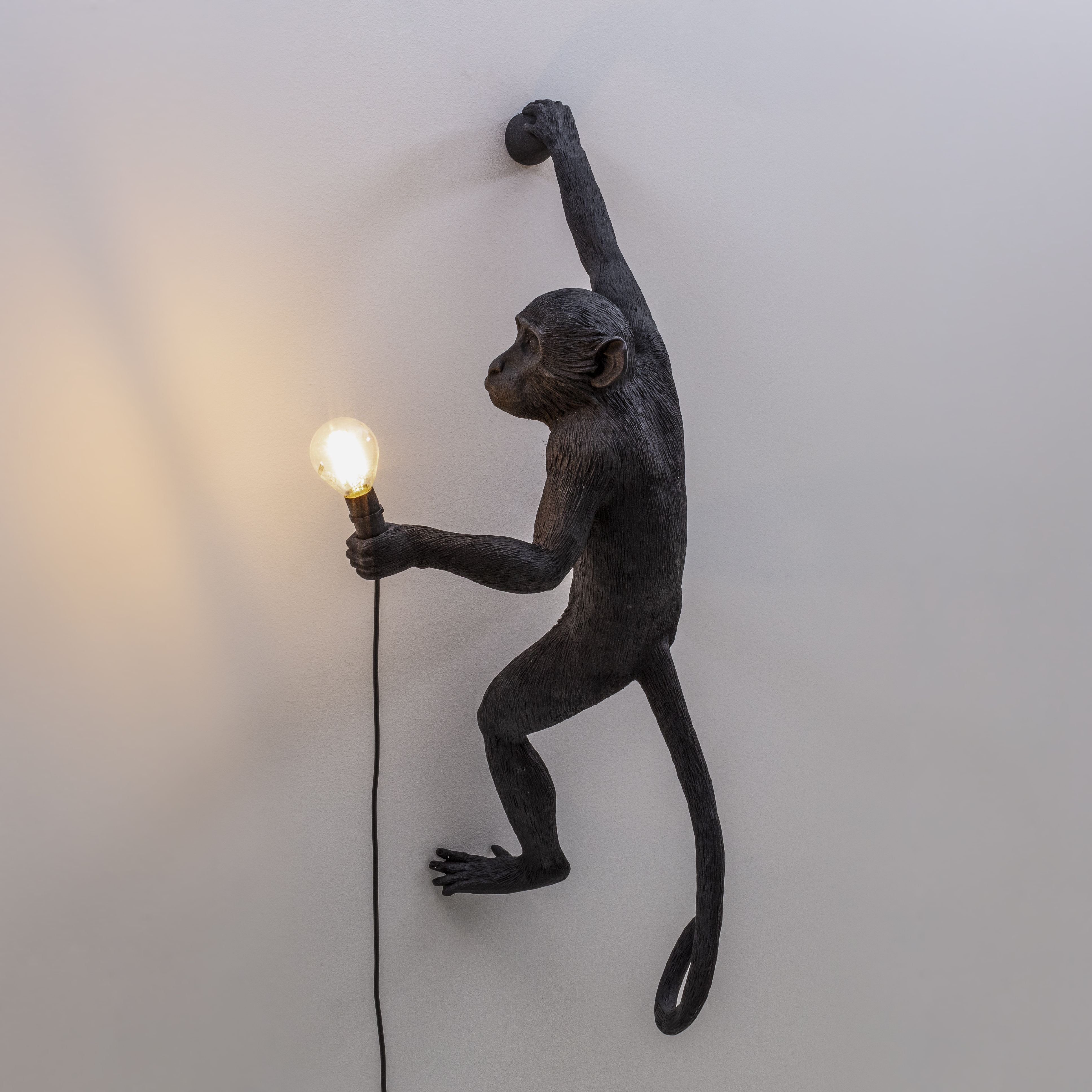 Lampka zewnętrzna Seletti Monkey Black, wisząca prawa ręka