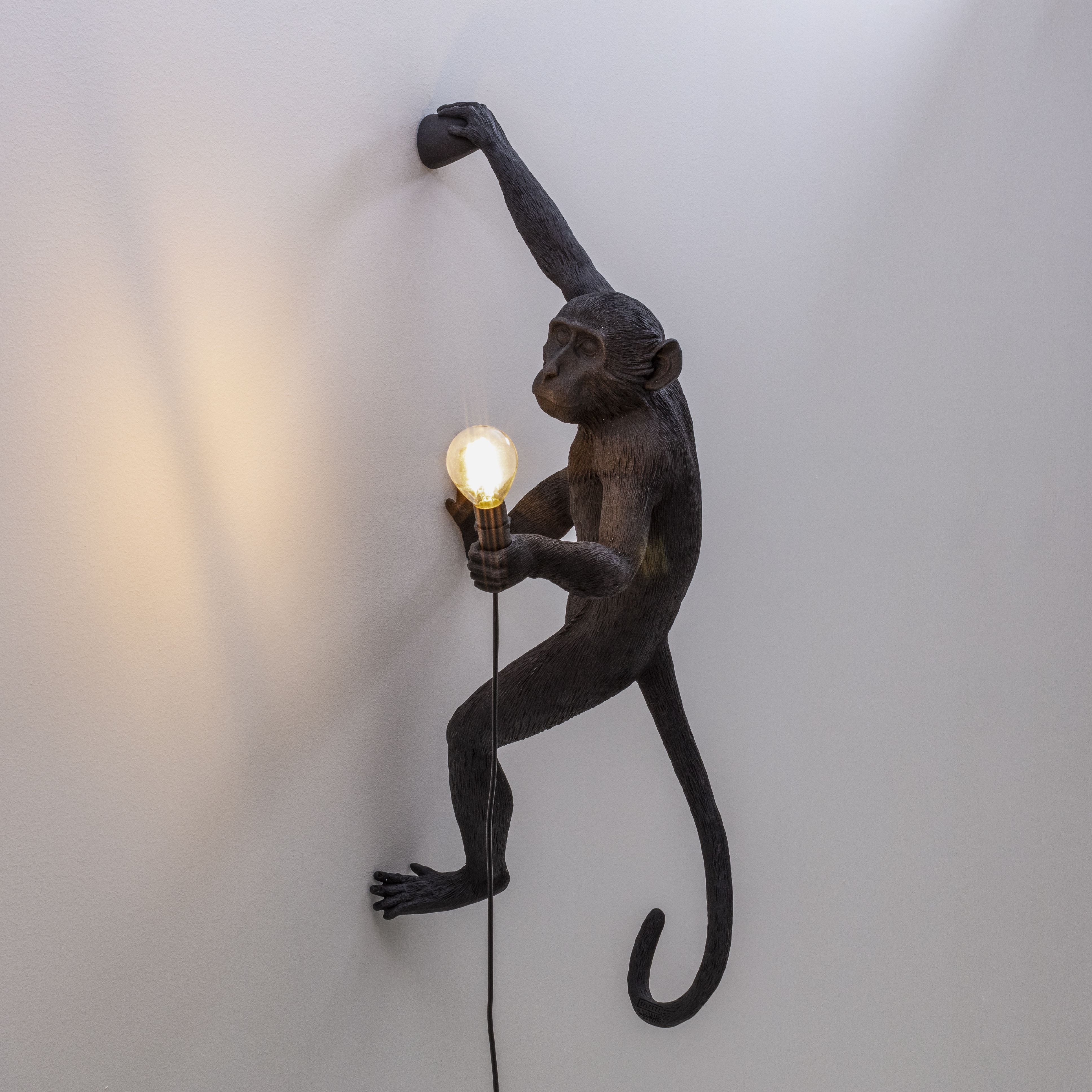 Lampka zewnętrzna Seletti Monkey Black, wisząca prawa ręka