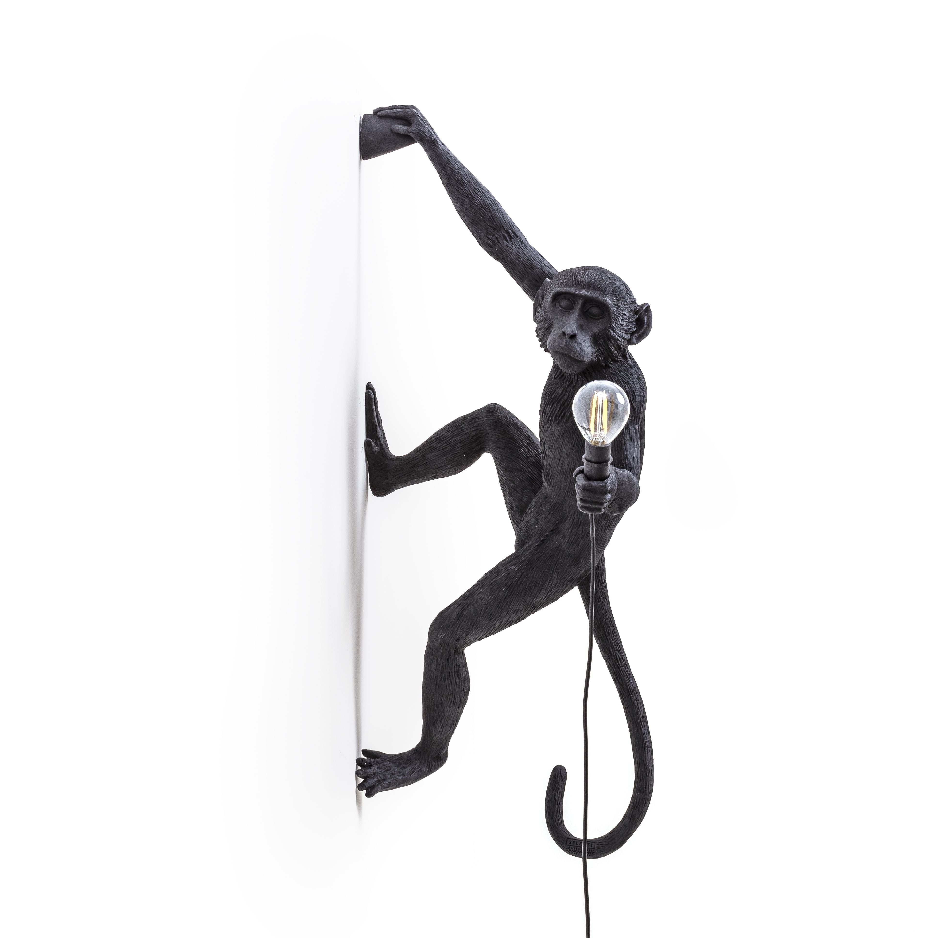 Lampka zewnętrzna Seletti Monkey Black, wisząca prawa ręka