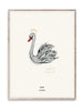 Papierowe zbiorowe plakat Lady Swan 30x40 cm