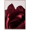  Peonia 03 Poster 50x70 Cm