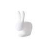 QEEBOO Rabbit LED LED RESTARTABLAble, S.