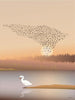  Murmuration Plakat 50 x 70 cm