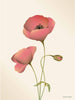  Poppy plakat 15 x21 cm beza