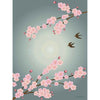  Sakura Poster 70 X100 Cm