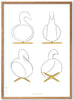 Brainchild Swan Design Sketches Poster Frame Made Of Light Wood 30x40 Cm, White Background