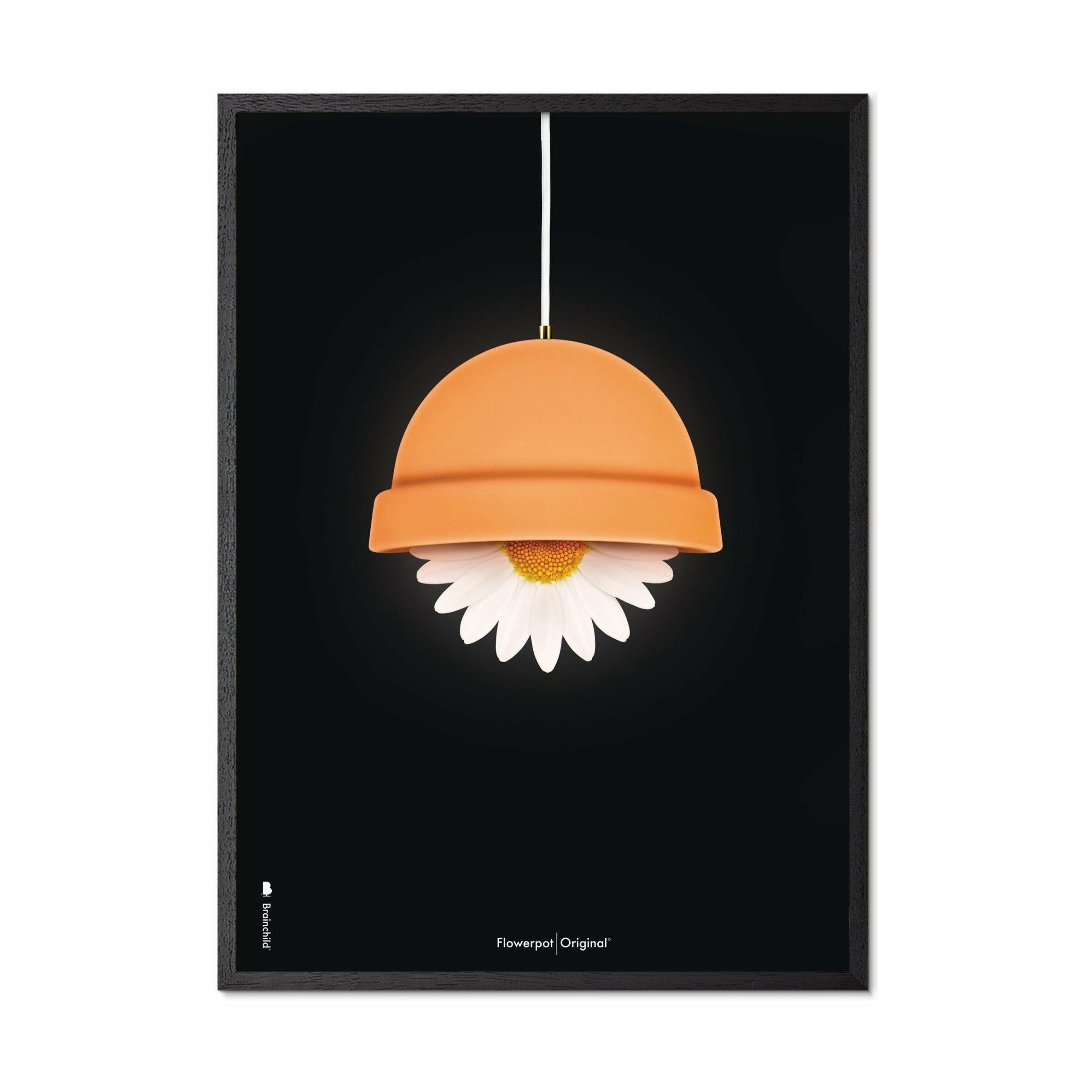 Brainchild Flowerpot Classic Poster, Frame In Black Lacquered Wood 70x100 Cm, Black Background